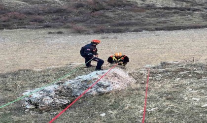 Muşta kayalıkta mahsur kalan keçiler kurtarıldı