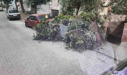 Nazilli Belediyesi Temizlik İşleri Müdürlüğünden vatandaşlara çağrı