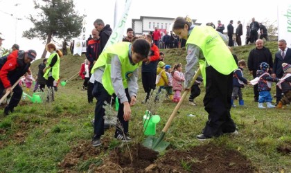 Orduda yaklaşık 5 bin fidan toprakla buluşturuldu