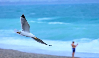 Rus turist fırtınanın oluşturduğu dev dalgalar arasında denize girdi, ceket giyenlere güldü