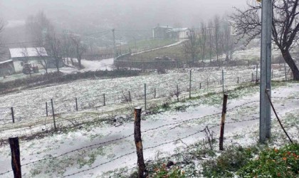 Sakaryada yüksek kesimlerde kar yağışı başladı