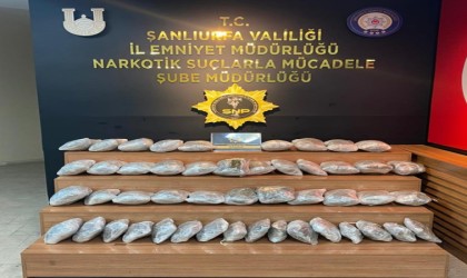 Şanlıurfada 29 kilogram skunk ele geçirildi: 1 gözaltı