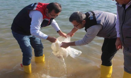 Siirtte 2 milyon balık yavrusu baraj göllerine bırakıldı