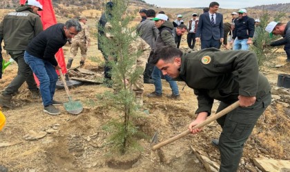 Sincikte 100 fidan toprakla buluştu