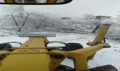 Sinopta fırtına ağaç devirdi, yol trafiğe kapandı