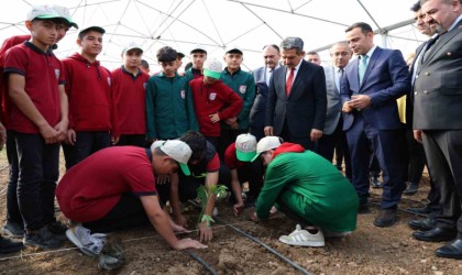 Şırnakta avokado, pepino, çarkıfelek ve papaya meyvelerinin fideleri ekildi