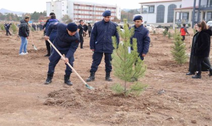 Sivasın ormanlık alanı 504 bin dekara yükseldi