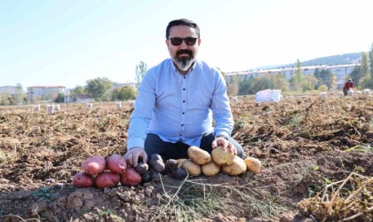 Sivasta renkli hasat başladı