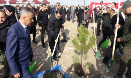 Son 5 yılda Kütahyada 110 milyon 757 bin 317 fidan toprakla buluşturuldu