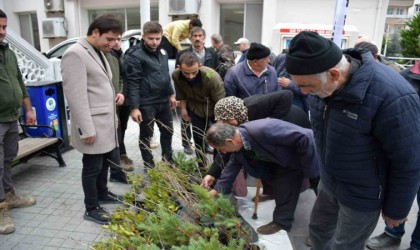 Türkelide vatandaşlara ücretsiz fidan dağıtıldı