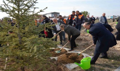 Yaslıkaya: “Kastamonu ormanlarının 23,5i ağaçlandırmalarla elde edilmiştir”