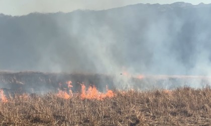 Yüksekovada onlarca kuş türünün yaşadığı Nehil Sazlığı yanıyor