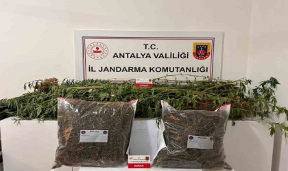 Alanyada narkotik operasyonları