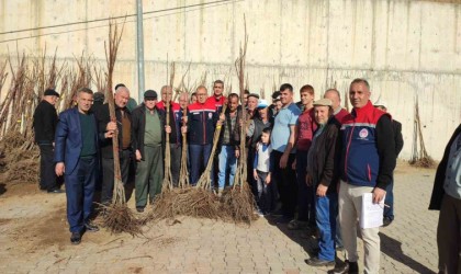 Aydında üreticilere kestane fidanı dağıtılıyor