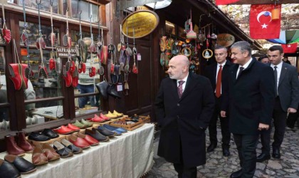 Bakan Yardımcısı Sağlam Karabükte incelemelerde bulundu