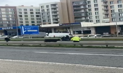 Büyükçekmecede E-5e giren dana trafiği kilitledi