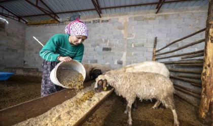 Hadi Gel Köyümüze Geri Dönelim projesi bir genci deha üretime kazandırdı