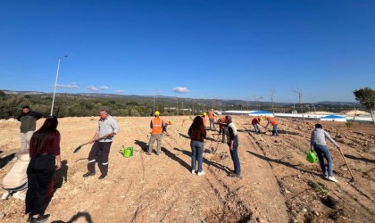 Mersinde otoban yol kenarları ağaçlandırılıyor