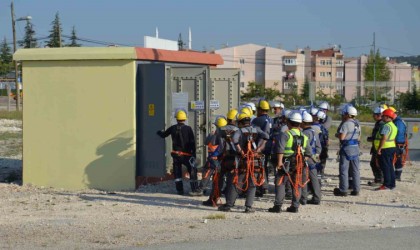 OEDAŞ, 31 Aralık ve 1 Ocakta planlı kesinti yapılmayacağını duyurdu