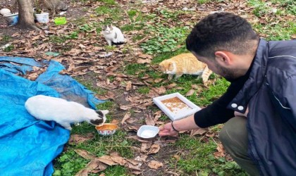 Öğrencilerden sokak hayvanlarına şefkat