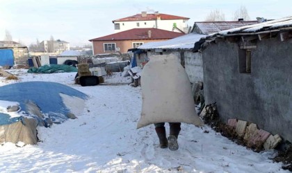 Sibirya soğukları Ağrıda yaşamı felç etti