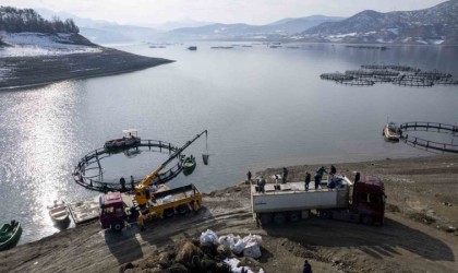 Tokatın somonları Karadenizde büyüyüp dünya sofralarına ulaşıyor