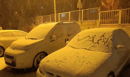 Vanda yoğun kar yağışı etkili oluyor