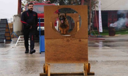 Afetlerde umut ışığı: Hera ve kızı İglonun eğitimi göz dolduruyor