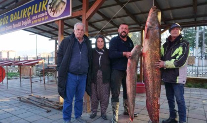 Burdurda gölde tutulan dev yayın balığı görenleri şaşırttı