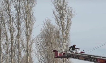 Düğünde uçurulan dron ağaçlara takılınca yardıma itfaiye ekipleri yetişti