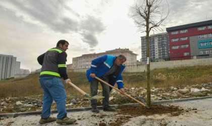 Esenyurtun sokakları ağaçlarla süsleniyor