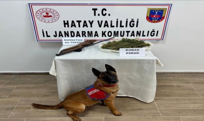 Hatayda Jandarmadan uyuşturucu ve kaçakçılık operasyonu; 25 gözaltı