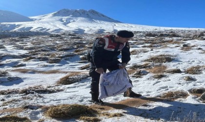 Jandarma ekipleri yaban ve sokak hayvanları için dağlarda