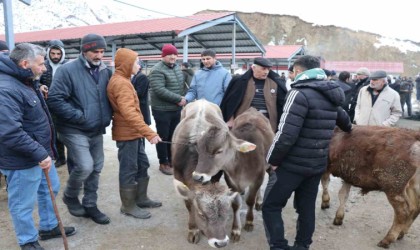 Oltudaki hayvan pazarı yeniden açıldı