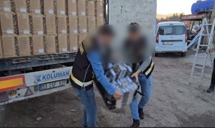 Osmaniyede durdurulan 2 tırda 44 bin 230 paket kaçak sigara ele geçirildi