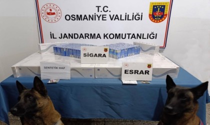 Osmaniyede jandarma son bir haftada 107 kişi yakalandı