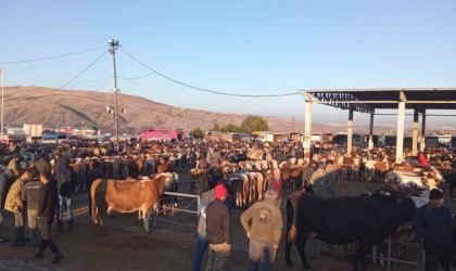 Yozgatta üç ilçede hayvan pazarları geçici olarak kapatıldı